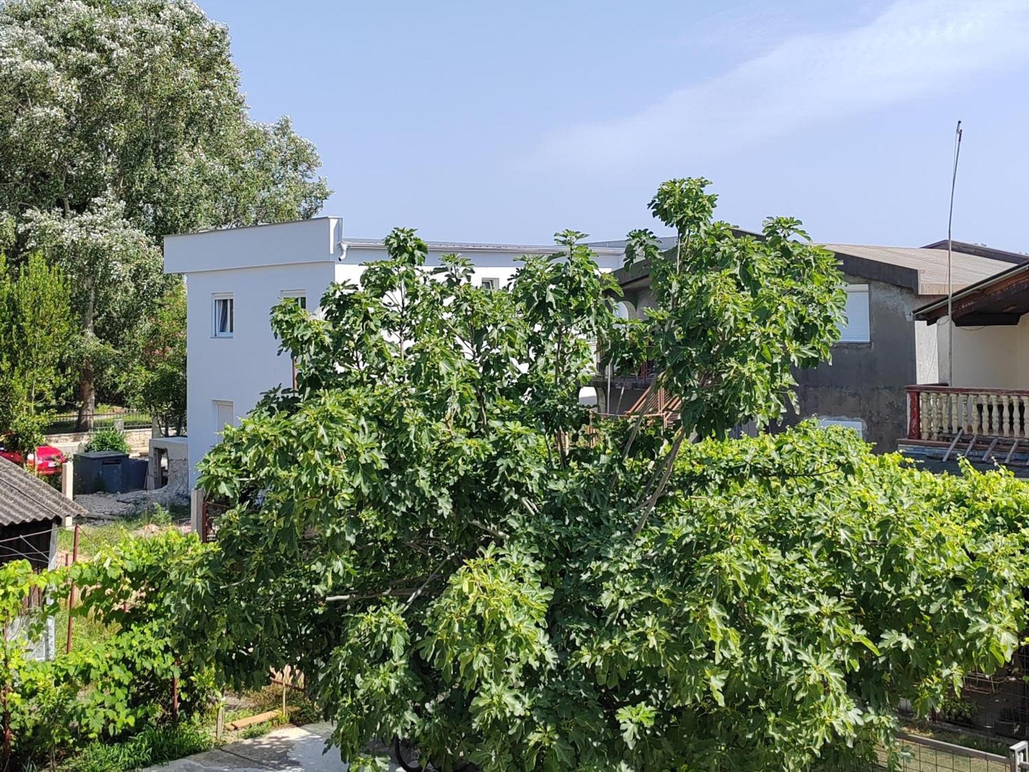 Vila Goga Ulcinj Kültér fotó